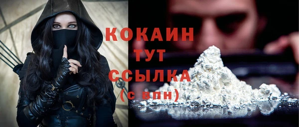 стаф Заводоуковск