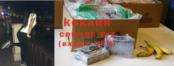 стаф Заводоуковск