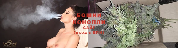 мдпв Ельня