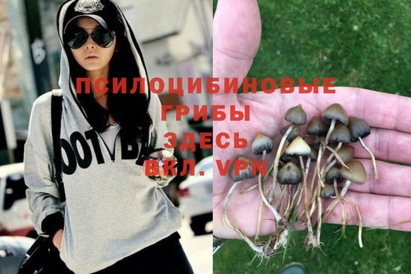 соль ск Заволжье