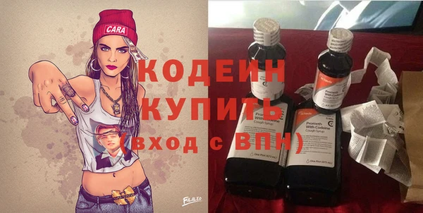 мдпв Ельня