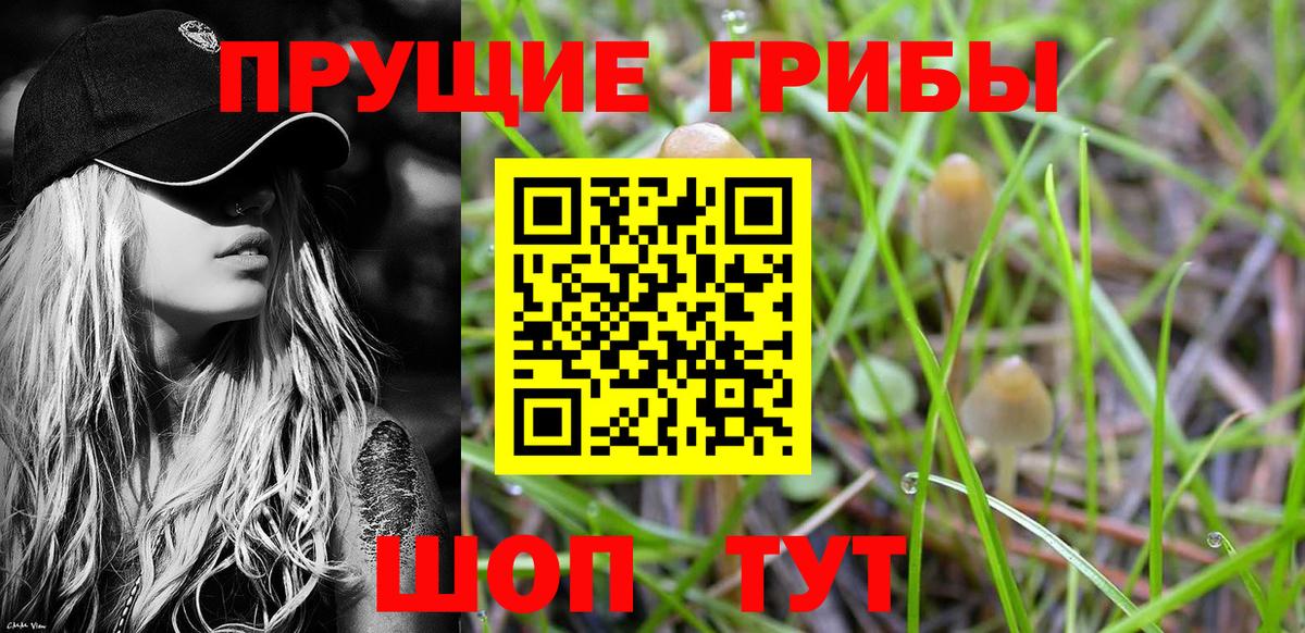 Елизово  где купить наркотик  Вход с VPN  Галлюциногенные грибы ЛСД 